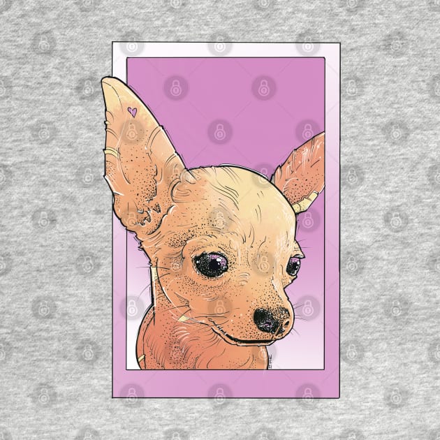 chihuahua girl in pink by weilertsen